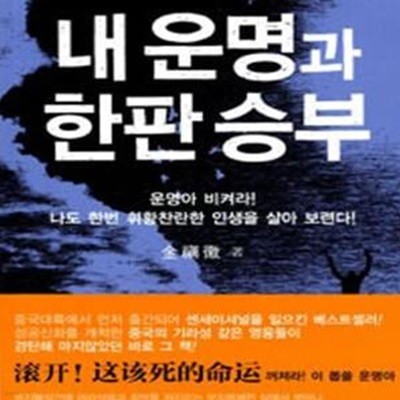 내 운명과 한판승부 (이야기 형식으로 엮은 인생경영보감)