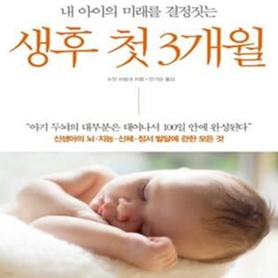 생후 첫 3개월 (내 아이의 미래를 결정짓는)