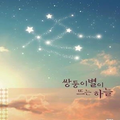 쌍둥이 별이 뜨는 하늘 (서은민 장편소설)