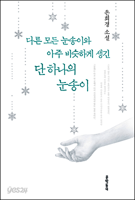 다른 모든 눈송이와 아주 비슷하게 생긴 단 하나의 눈송이