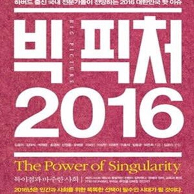 빅 픽처 2016 (특이점과 마주한 사회)