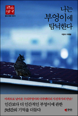 나는 부엉이에 탐닉한다