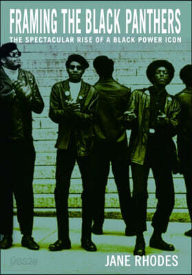 Framing the Black Panthers