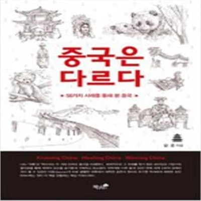 중국은 다르다 