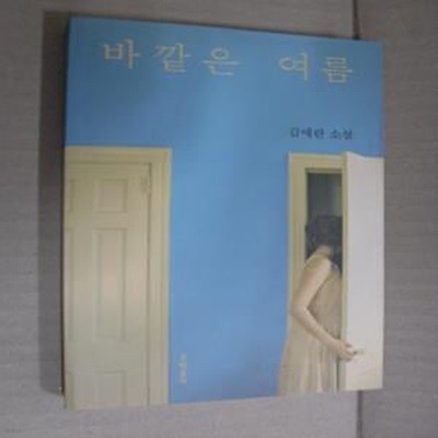 바깥은 여름 (김애란 소설)