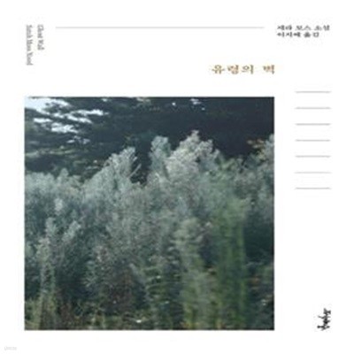 유령의 벽 (세라 모스 소설)