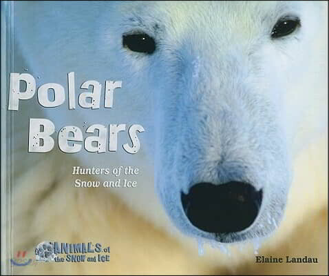 Polar Bears: Hunters of the Snow and Ice