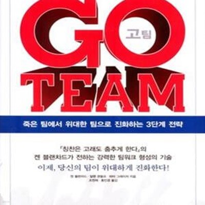 GO TEAM (고 팀,죽은 팀에서 위대한 팀으로 진화하는 3단계 전략,KI신서 1411)