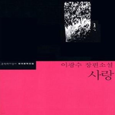 사랑 (이광수 장편소설)