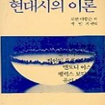 현대시의 이론