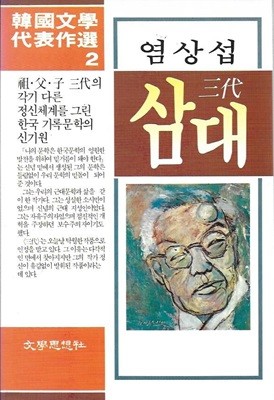 삼대/염상섭 (한국문학대표작선 2)