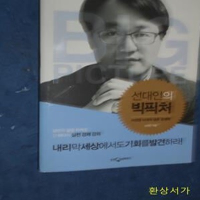 선대인의 빅픽처 (저성장 시대의 생존 경제학)