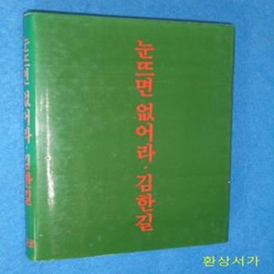 눈뜨면 없어라 - 김한길