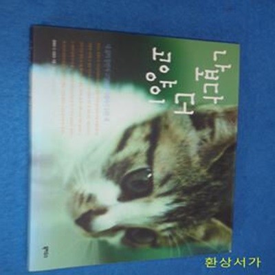 나보다 더 고양이