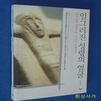 일그러진 성령의 얼굴 (한국교회 성령운동 무엇이 문제인가)