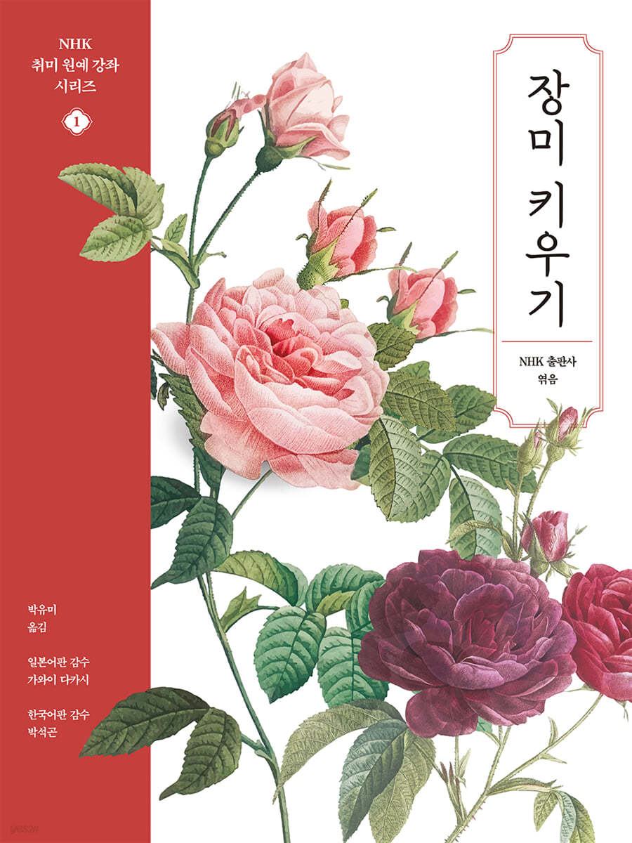 장미 키우기