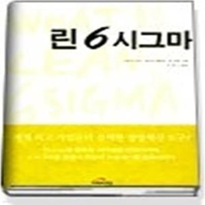 린6시그마