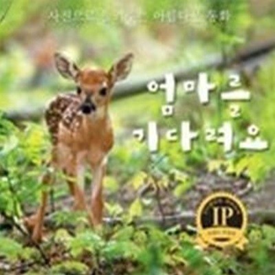 엄마를 기다려요 - 사진으로 들려주는 아름다운 동화