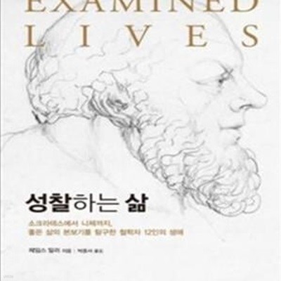 성찰하는 삶 (소크라테스에서 니체까지, 좋은 삶의 본보기를 탐구한 철학자 12인의 생애)