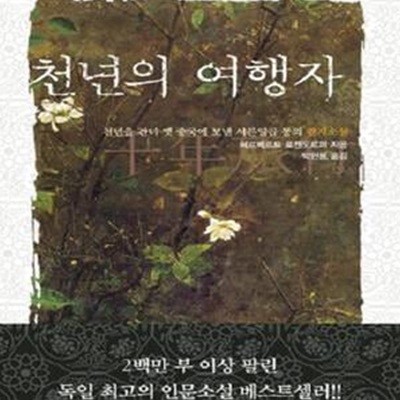 천년의 여행자 (천년을 건너 옛 중국에 보낸 서른일곱 통의 편지소설)