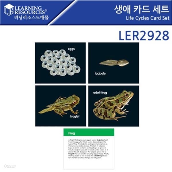 문구도매 러닝리소스 생애 카드 세트 LER2928