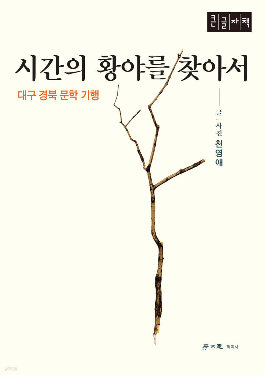 시간의 황야를 찾아서 (큰글자책)