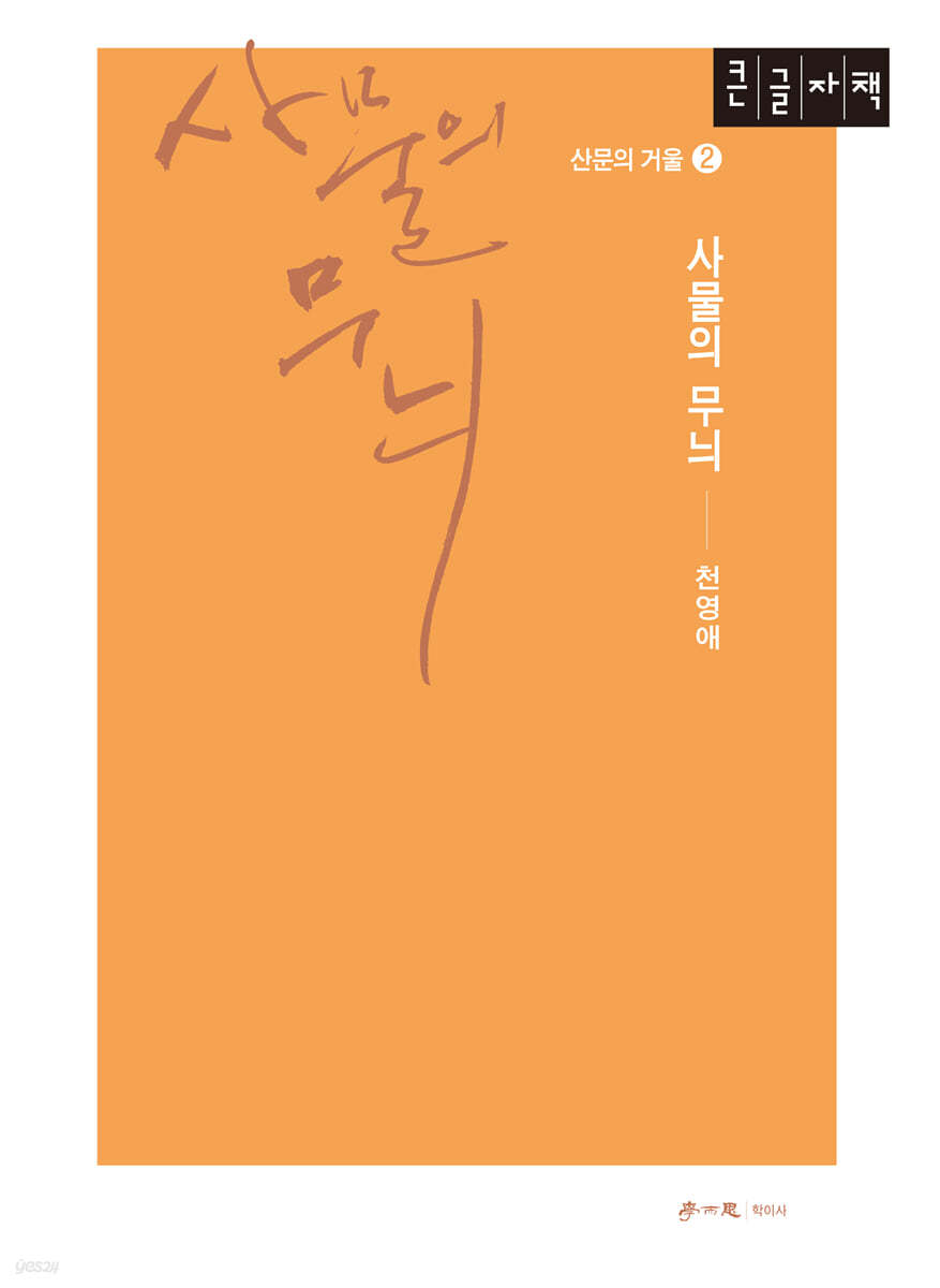 사물의 무늬 (큰글자책)