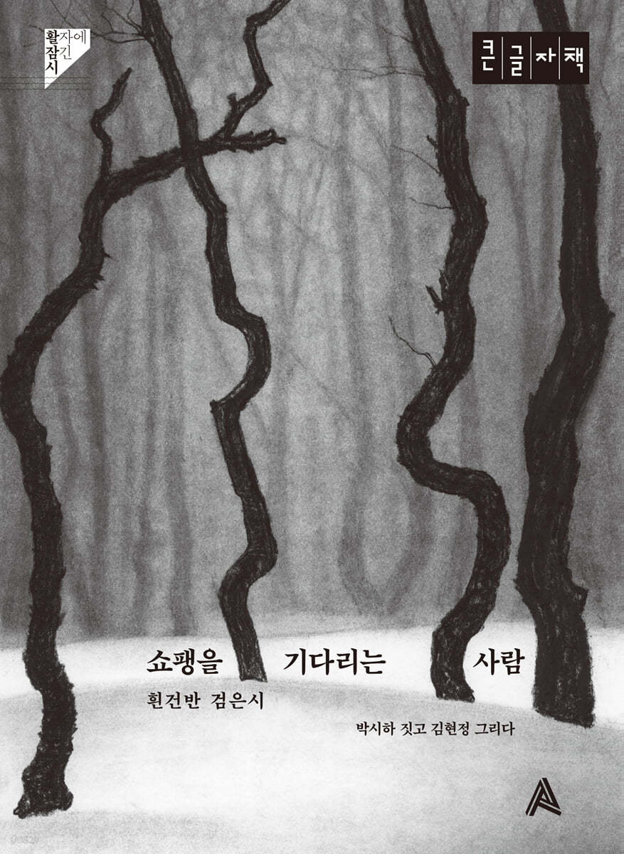 쇼팽을 기다리는 사람 (큰글자책)