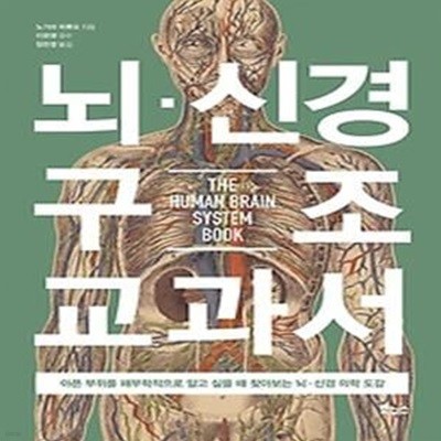 뇌 신경구조 교과서