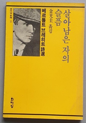 살아남은자의 슬픔 (브레히트 시선/1987.중판)