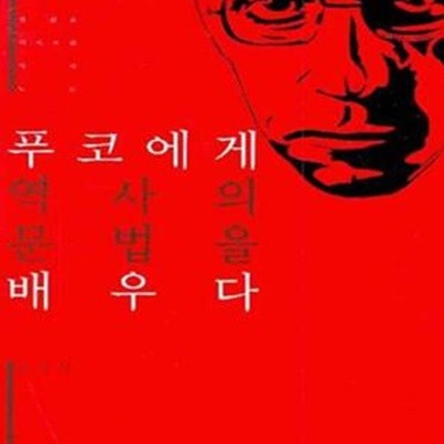 푸코에게 역사의 문법을 배우다: 한 젊은 역사가의 사색 노트 