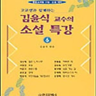 김윤식 교수의 소설 특강 6