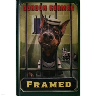 Framed   (Hardcover)