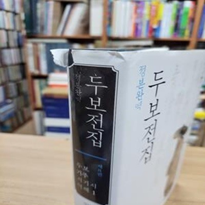 정본완역 두보전집 8 : 두보 기주시기시 역해 1 