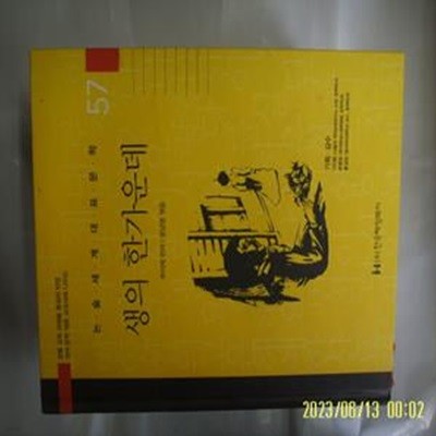 루이제 린저. 윤남영 엮음 / 한국헤밍웨이 / 57 생의 한가운데 ( 논술세계대표문학 ) -꼭 상세란참조