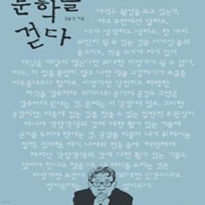 문학을 걷다 (김윤식이 만난 문학 이야기)