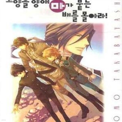 고향을 향해 마가 붙는 배를 몰아라! (마 시리즈 15, Wink Novel)