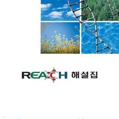 REACH 해설집