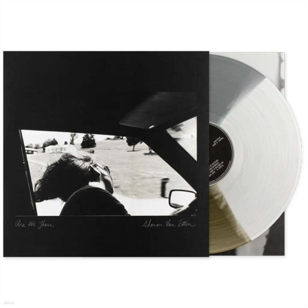 Sharon Van Etten (샤론 반 이튼) - Are We There [컬러 LP]