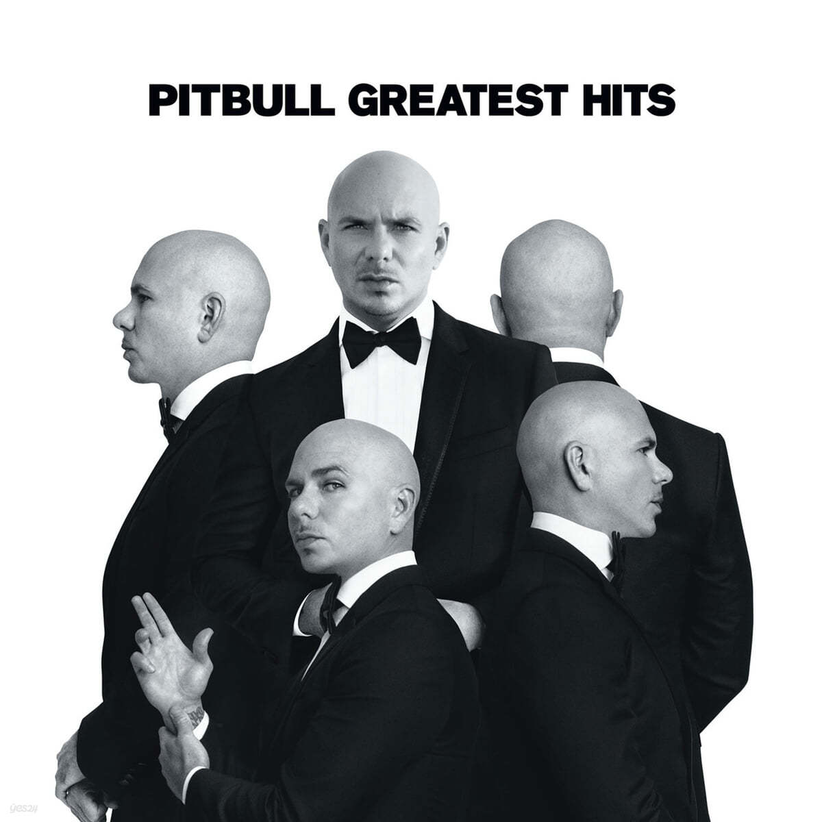 Pitbull (핏불) - Greatest Hits [투명 앤 블랙 컬러 LP]