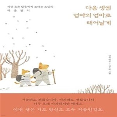 다음 생엔 엄마의 엄마로 태어날게 (세상 모든 딸들에게 보내는 스님의 마음편지)