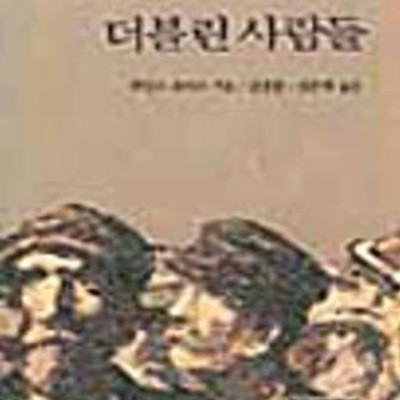 더블린 사람들 (창비교양문고 032)