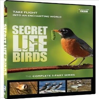 Secret Life of Birds - 5 Part Series (ũ   )(ڵ1)(ѱ۹ڸ)(DVD)