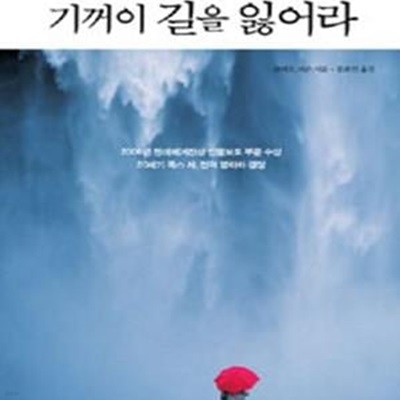 기꺼이 길을 잃어라 (시각장애인 마이크 메이의 빛을 향한 모험과 도전)