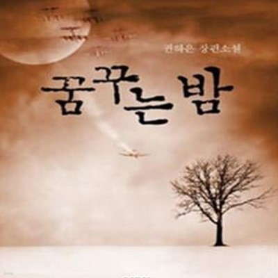 꿈꾸는 밤 (권하은 장편소설)