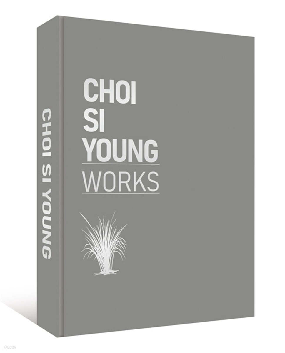 CHOI SI YOUNG WORKS 최시영 작품집