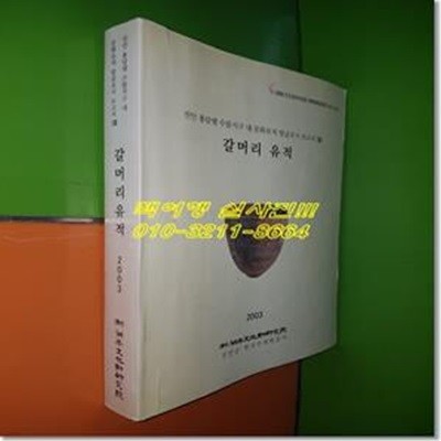 갈머리 유적 - 진안 용담댐 수몰지구 내 문화유적발굴조사 보고서Ⅷ(호남문화재연구원 학술조사보고 제13책)