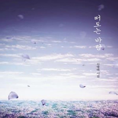 떠도는 바람 (김병택 시집)