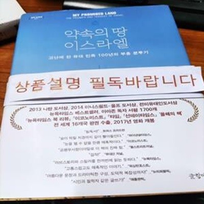 약속의 땅 이스라엘 (고난에 찬 유대 민족 100년의 부흥 분투기)