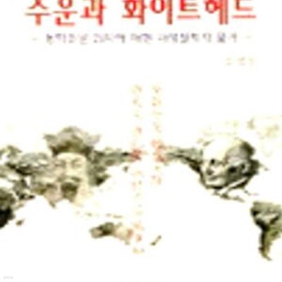 수운과 화이트헤드 (동학주문21자에대한과정철학적풀이)      /(김상일/하단참조)